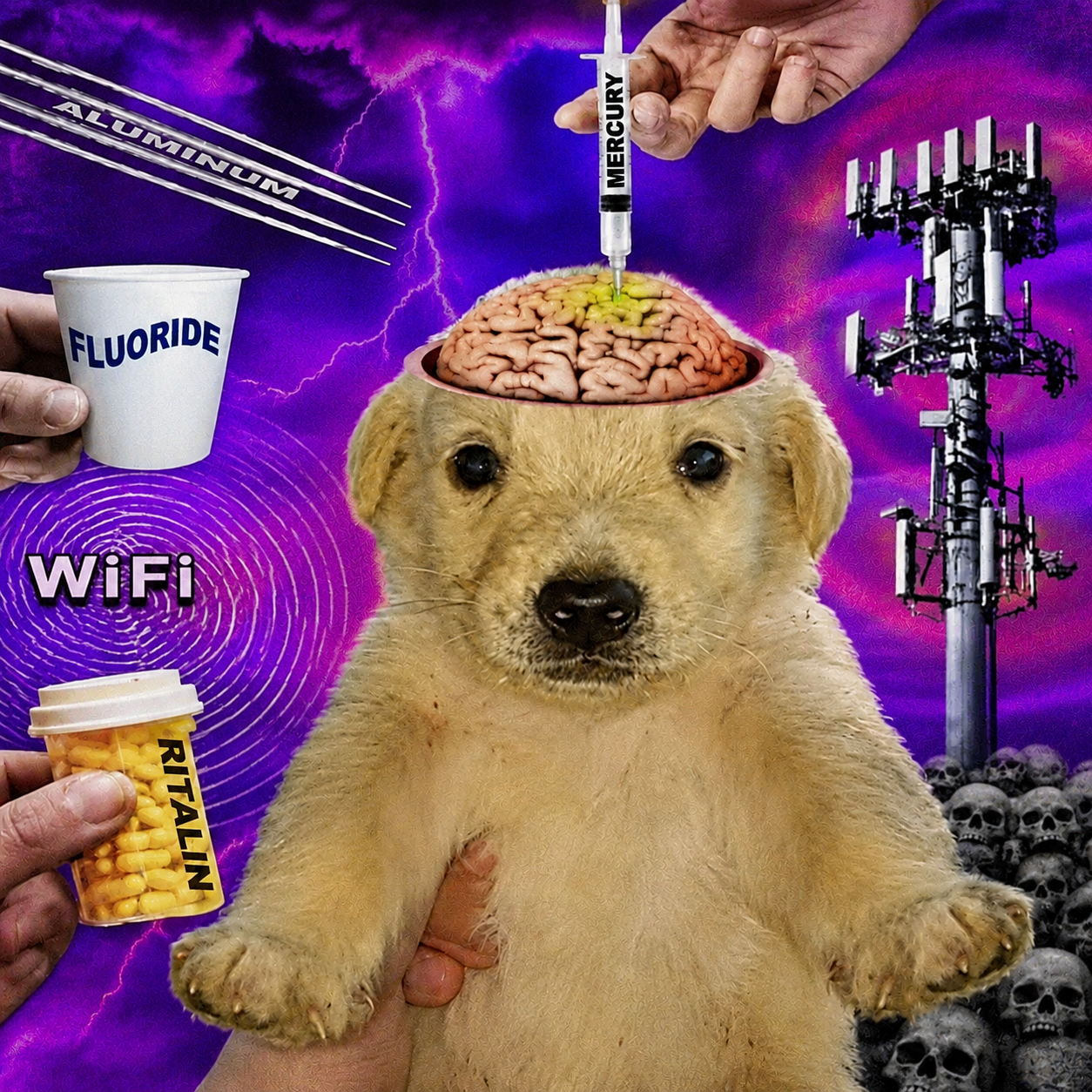 A collage of the puppy surrounded by fluoride, ritalin, wifi and a cell tower